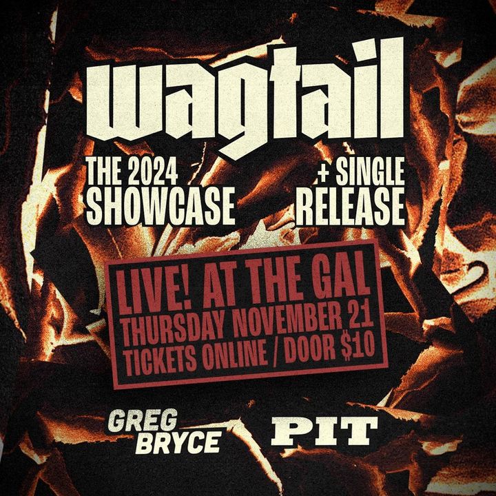 Featured image for “Wagtail – LIVE @ The Gal this Thursday 21st November!”