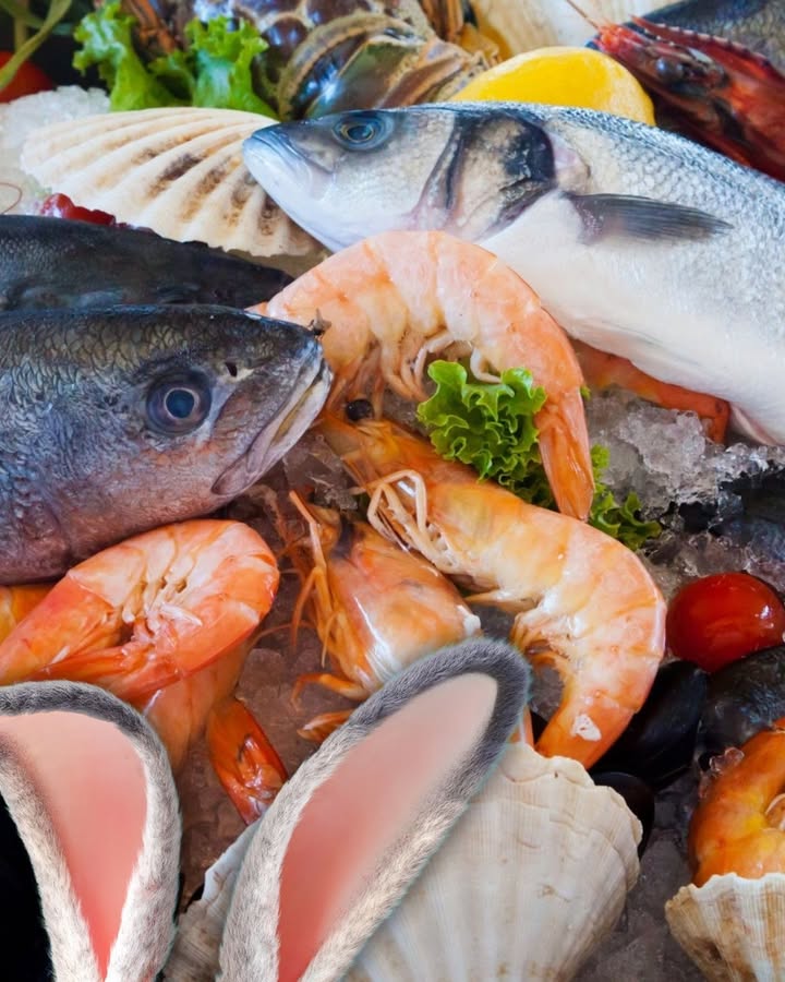 Featured image for “Join us at The Gal on Thursday 17th April for our Easter Egg and SEAFOOD Raffle!”